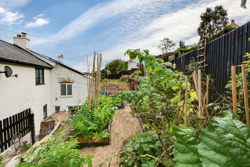 Vegetable Garden