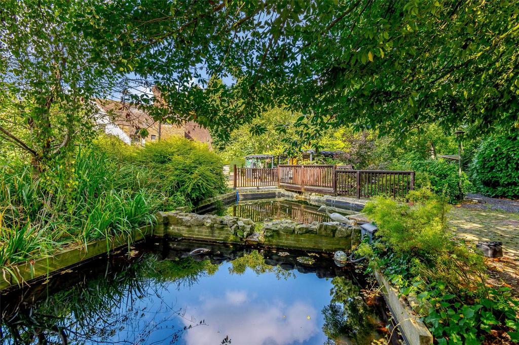 Pond
