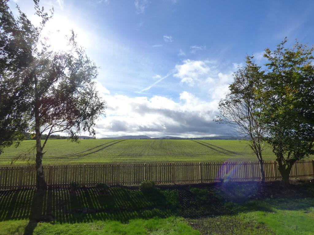 Rear garden outlook