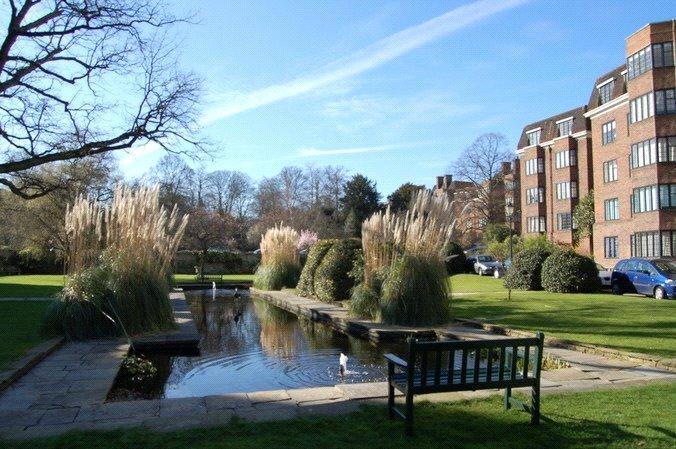 Duck Pond