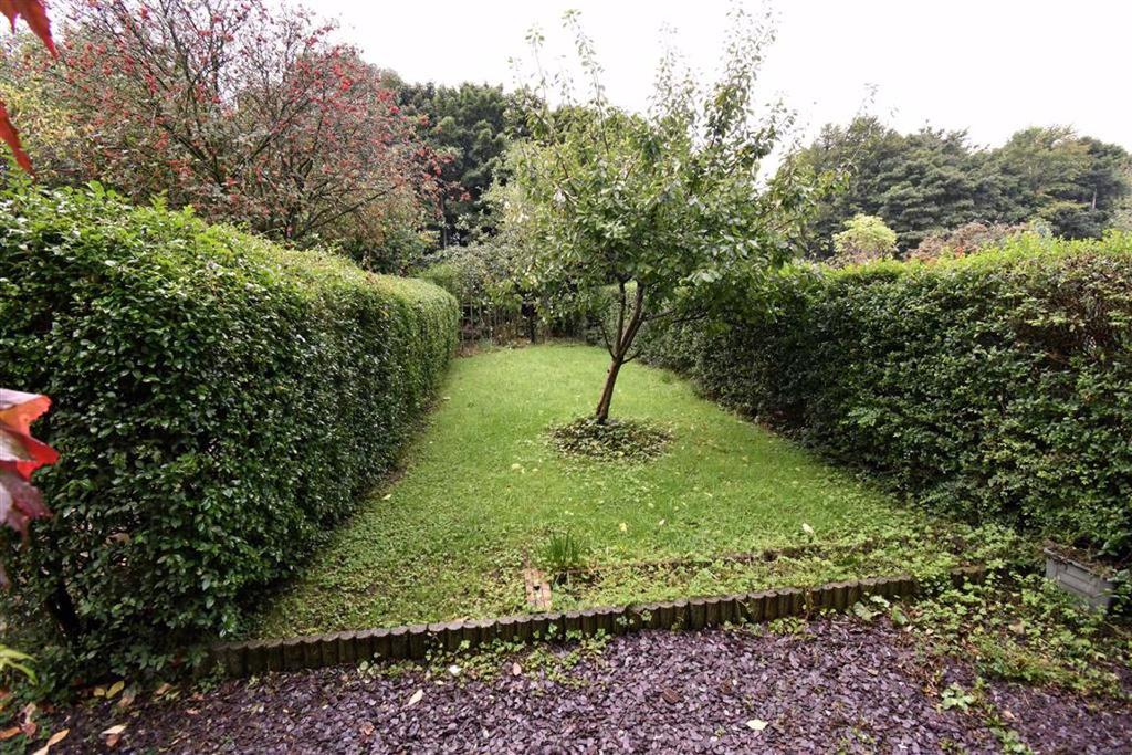 OUTSIDE - Garden