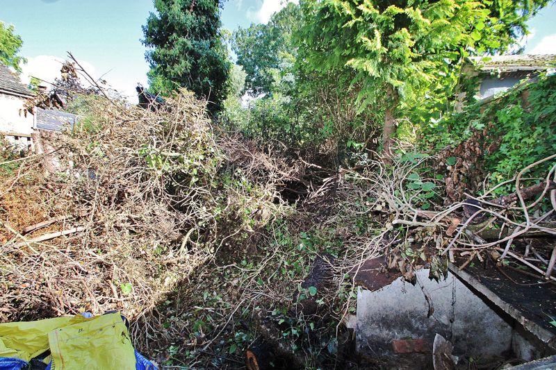 Overgrown Entrance