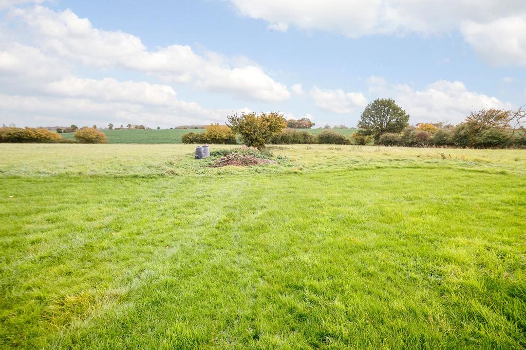 Meadow