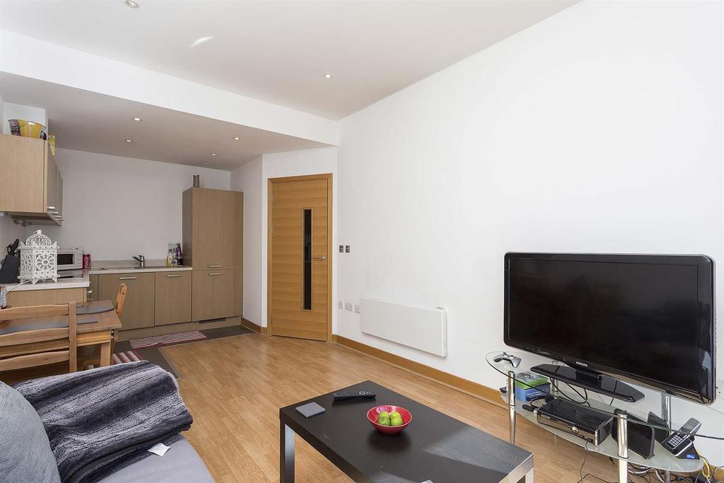 Living Room Shot 3