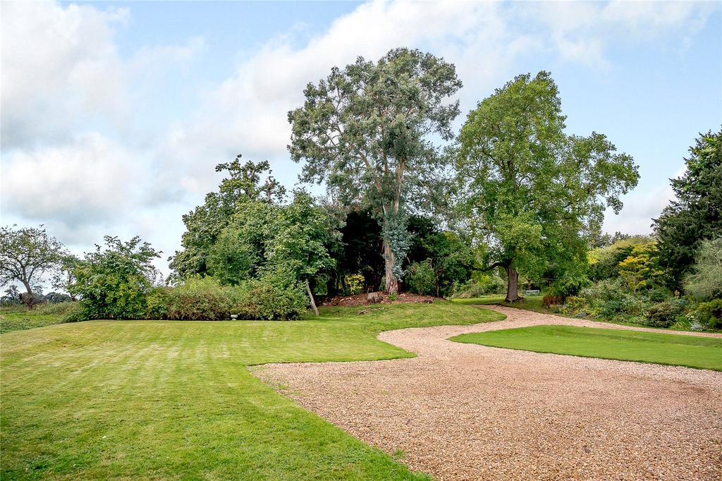 Garden and Driveway