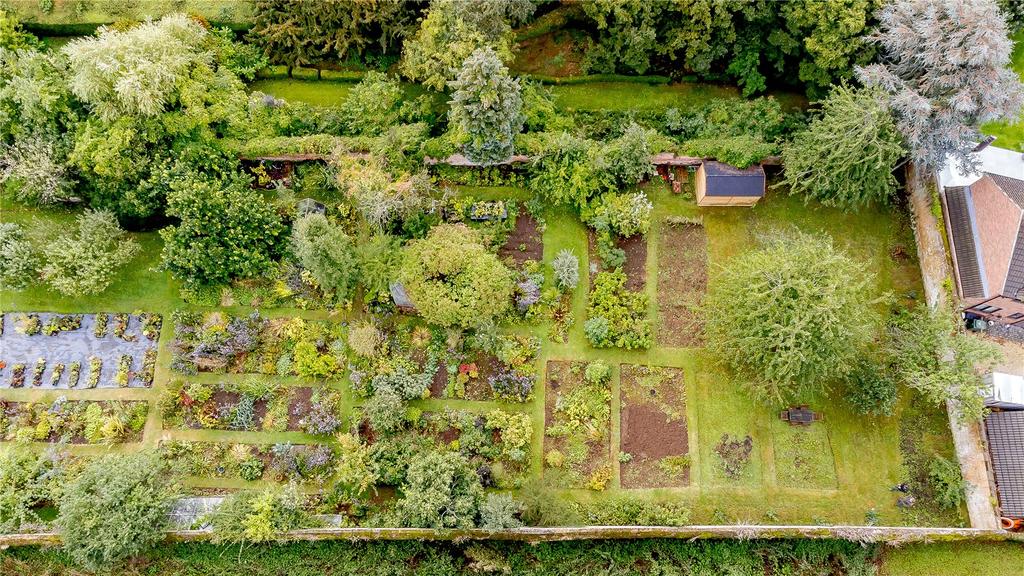 Kitchen Garden