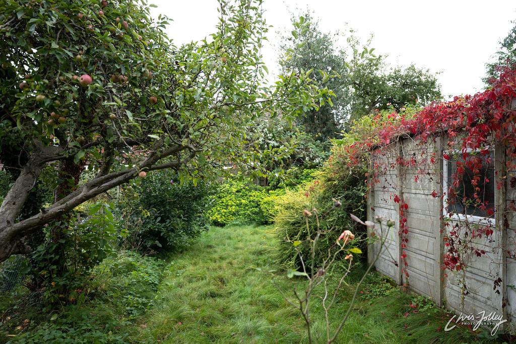 Rear garden (view 1)