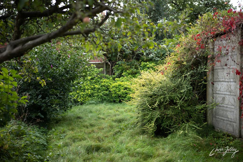 Rear garden (view 2)