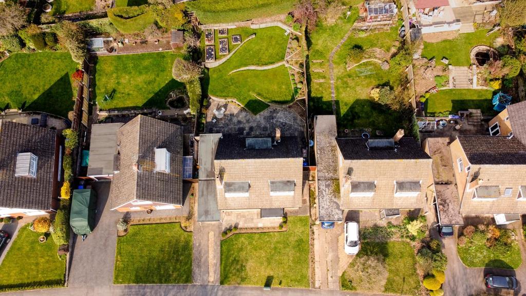 DJI 0100-2.jpg