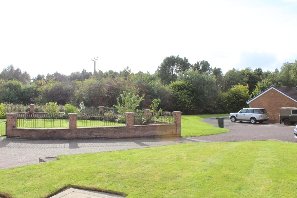 View to Front