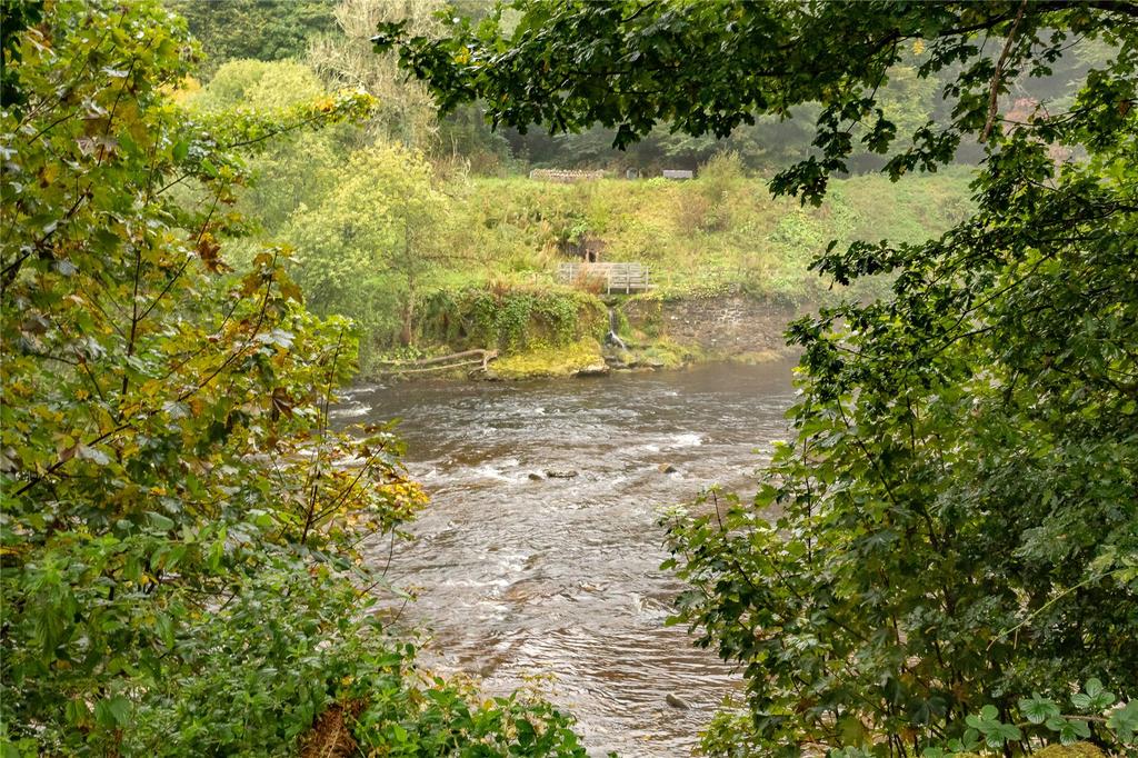 River View