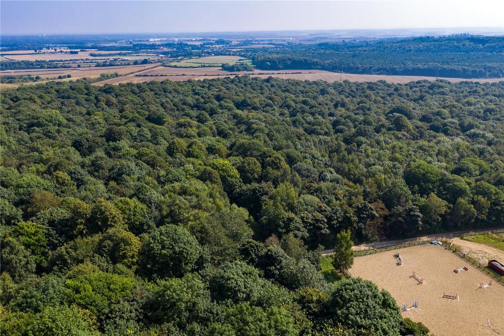 Edlington Wood House