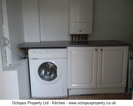 Picture 13