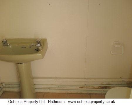 Picture 15