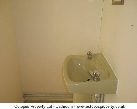 Picture 17