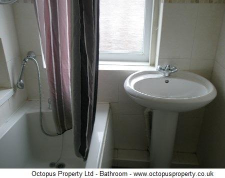Picture 23