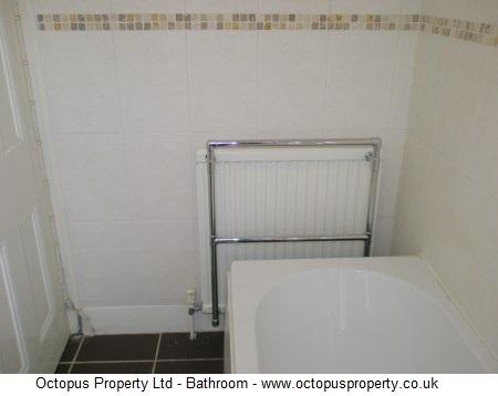 Picture 24
