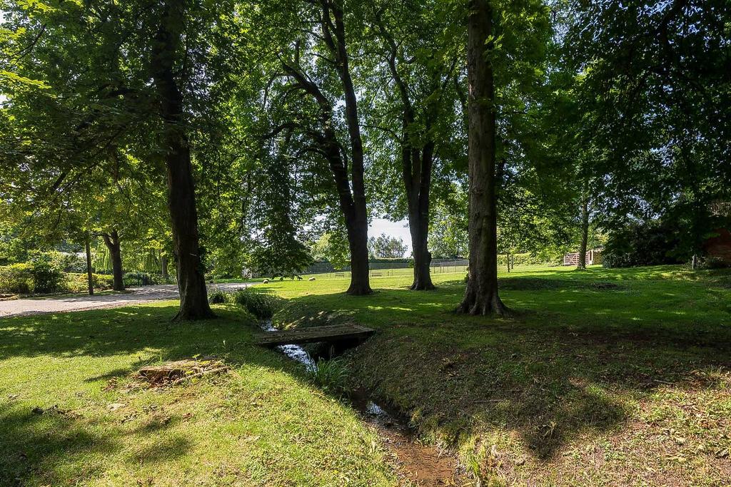 Wooded Copse