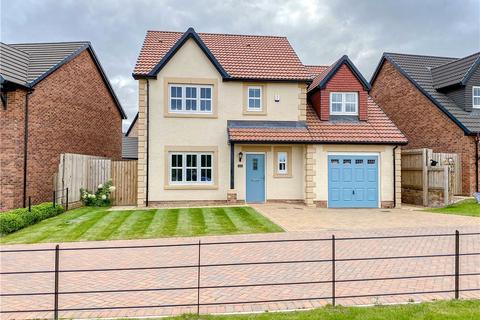 4 bedroom detached house for sale - Stein Grove, Middlesbrough