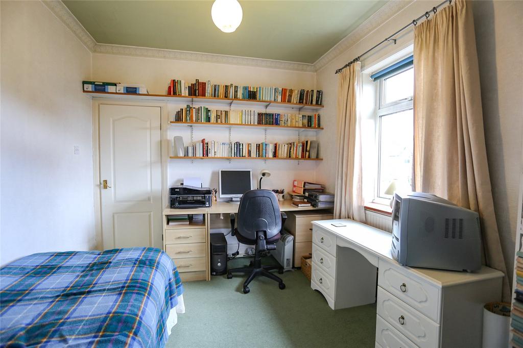 Picture 20