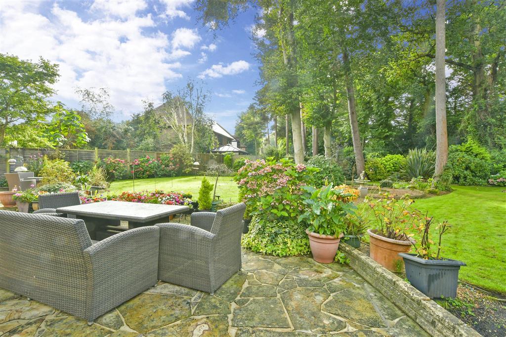 Patio / Decking