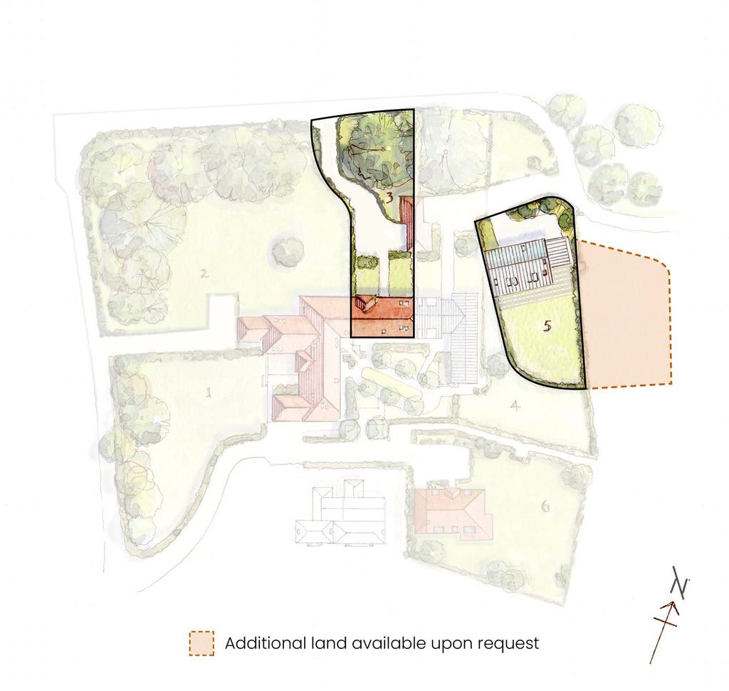 Site Layout
