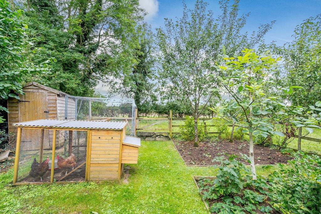 Vegetable Garden