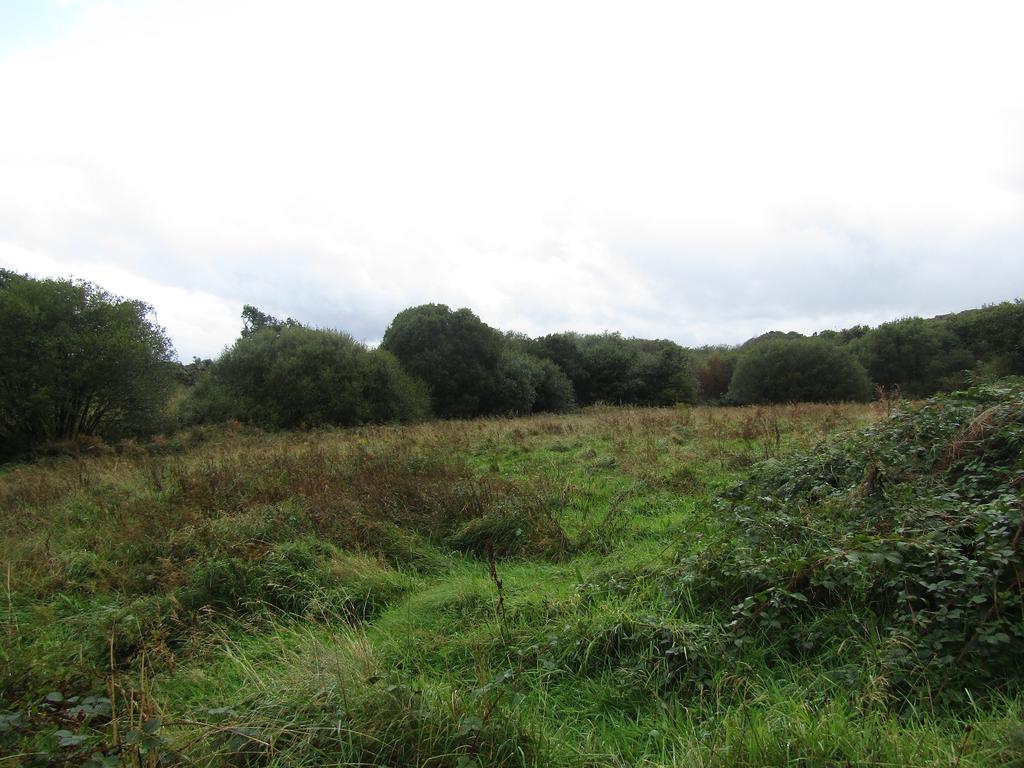 The Land