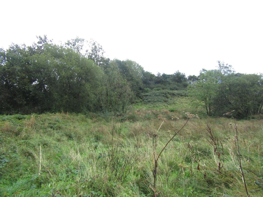 The Land