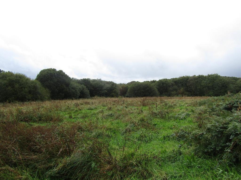 The Land
