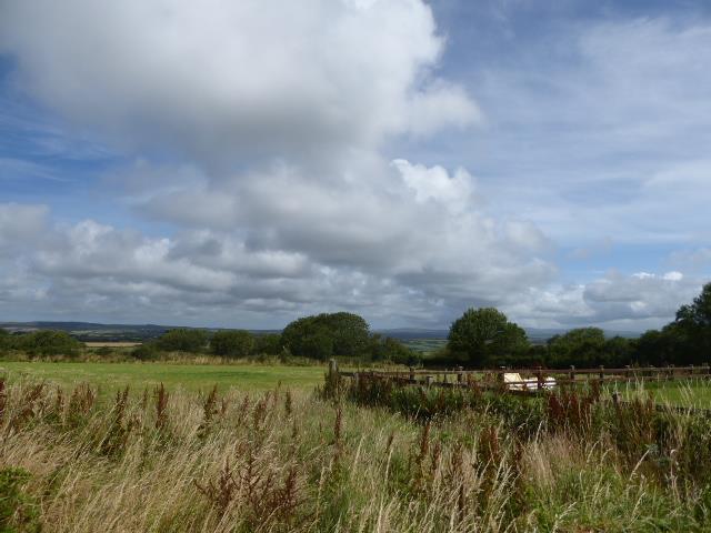 P1090524.jpg