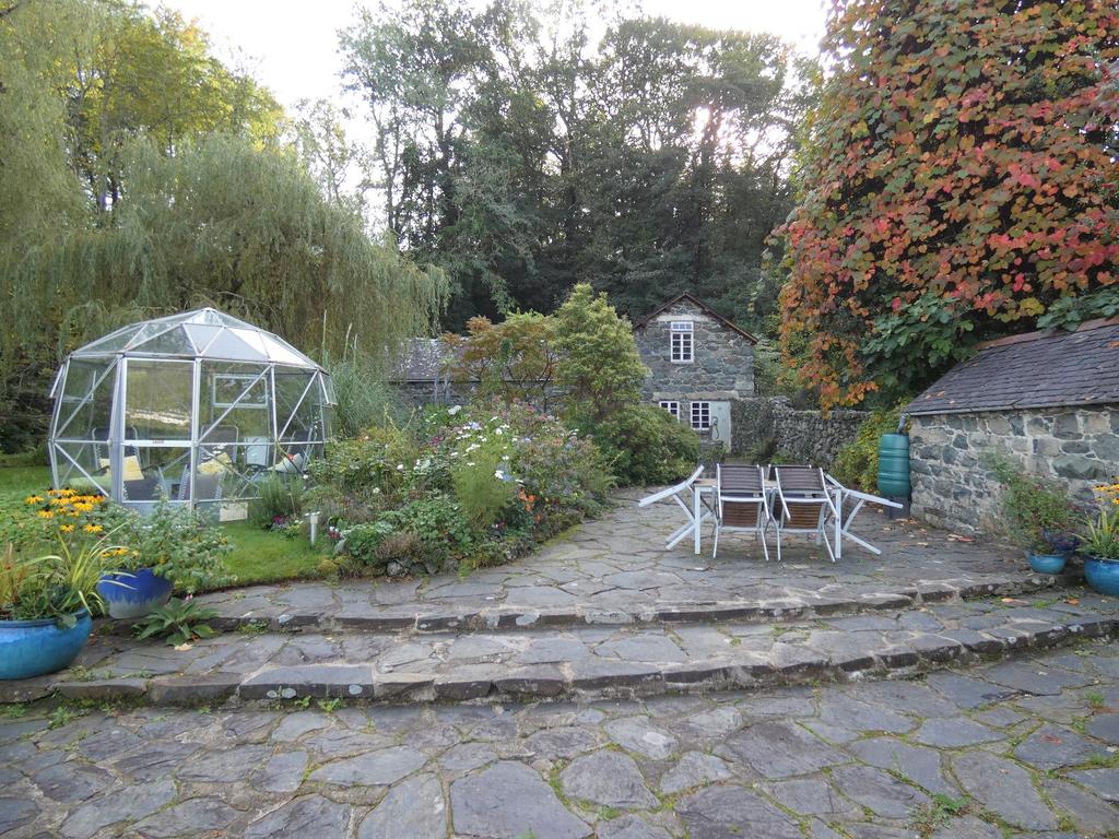 Garden with Coach Ho