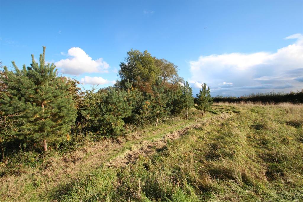 Hurworth 21.JPG