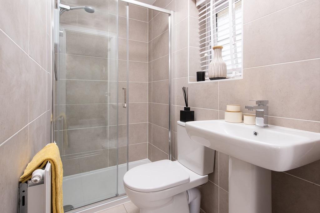 Alderney shower room