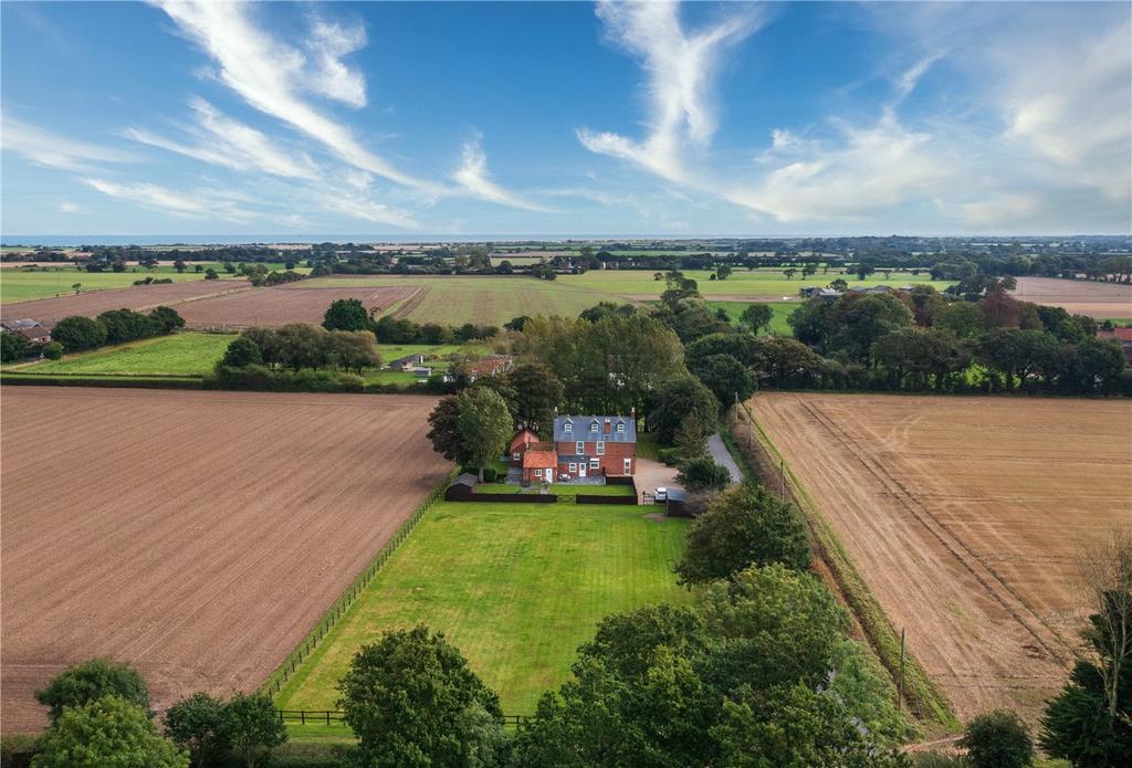 Aerial Shot 1