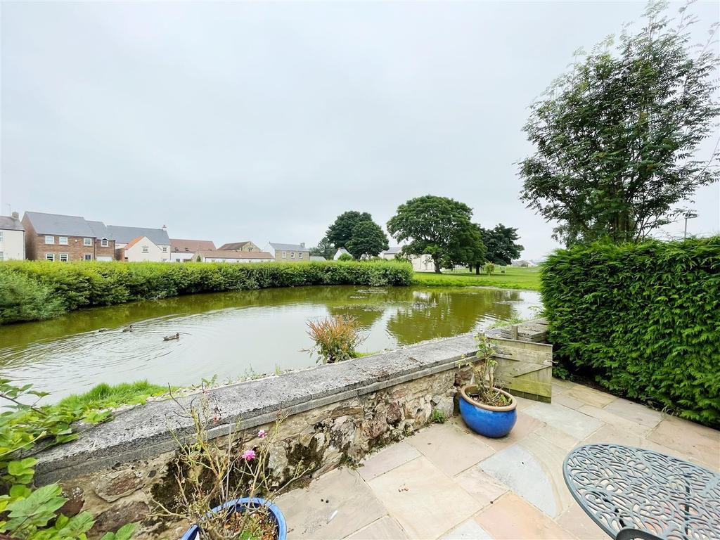 Front Duck Pond