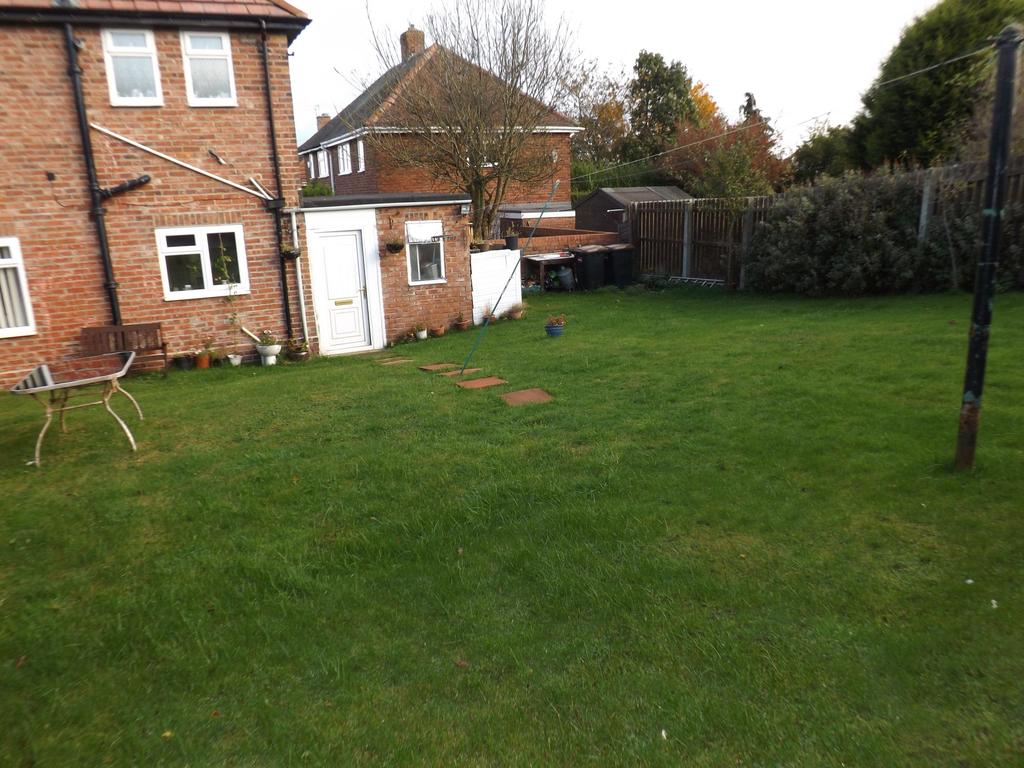Image of lawn behind the house