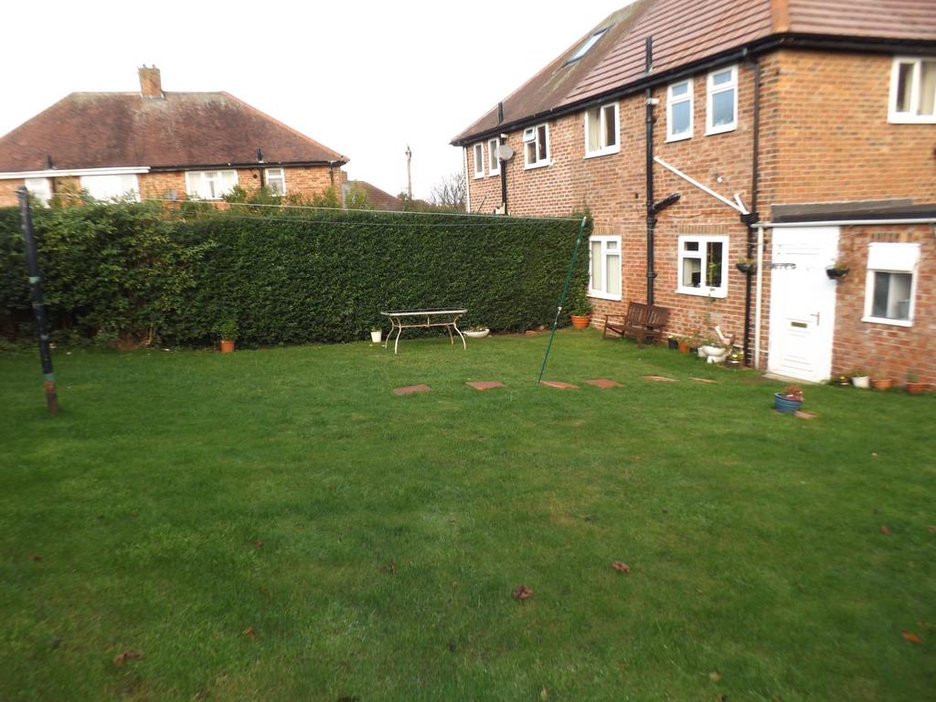 Image of lawn behind the house