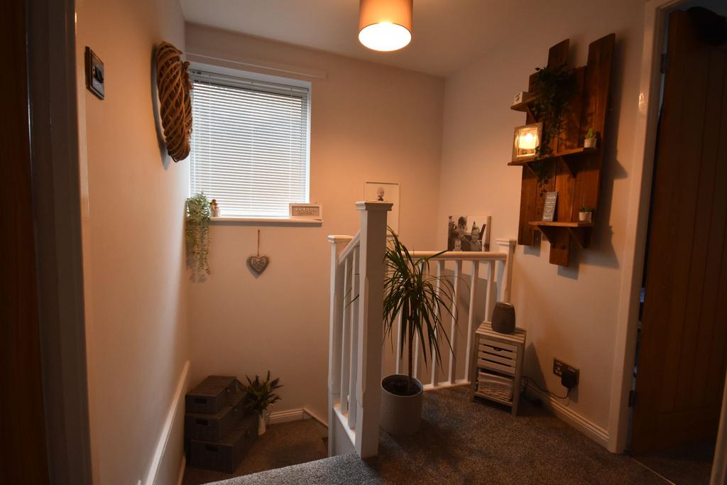 Photograph 10