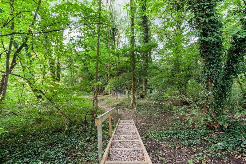 Woodland area