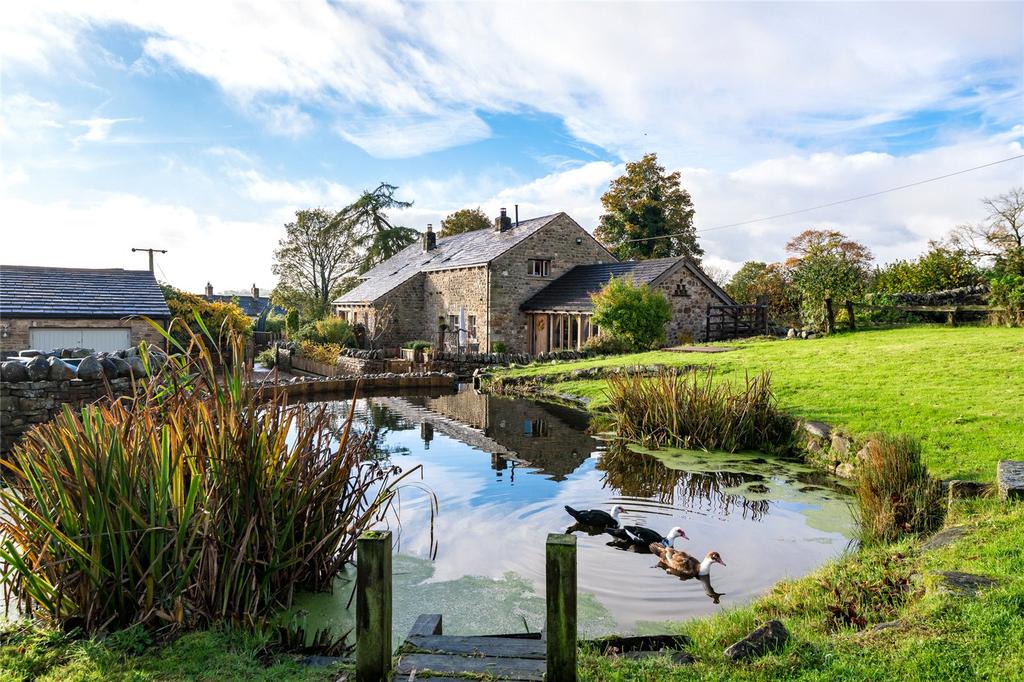 Garden/Pond