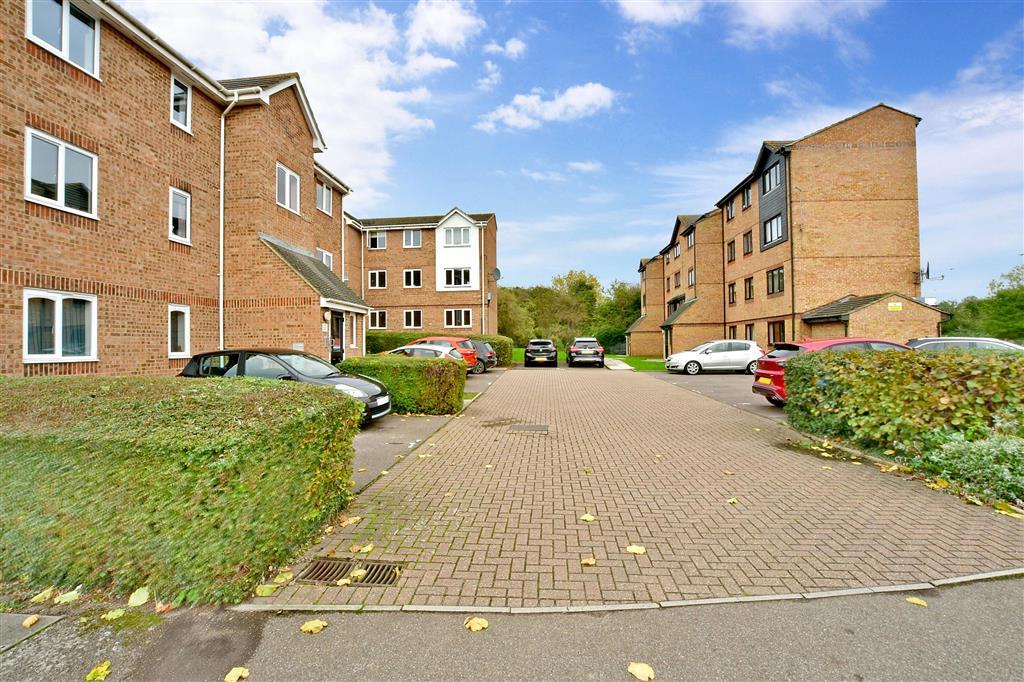 Driveway/Parking