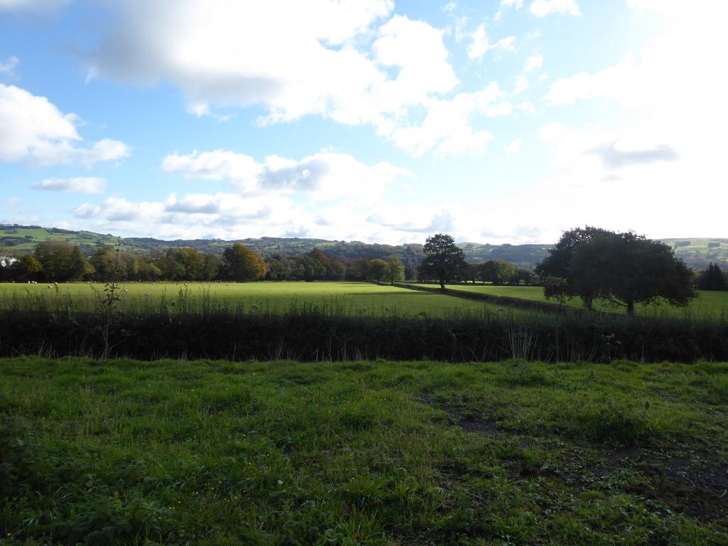 Overlooking the teifi valley