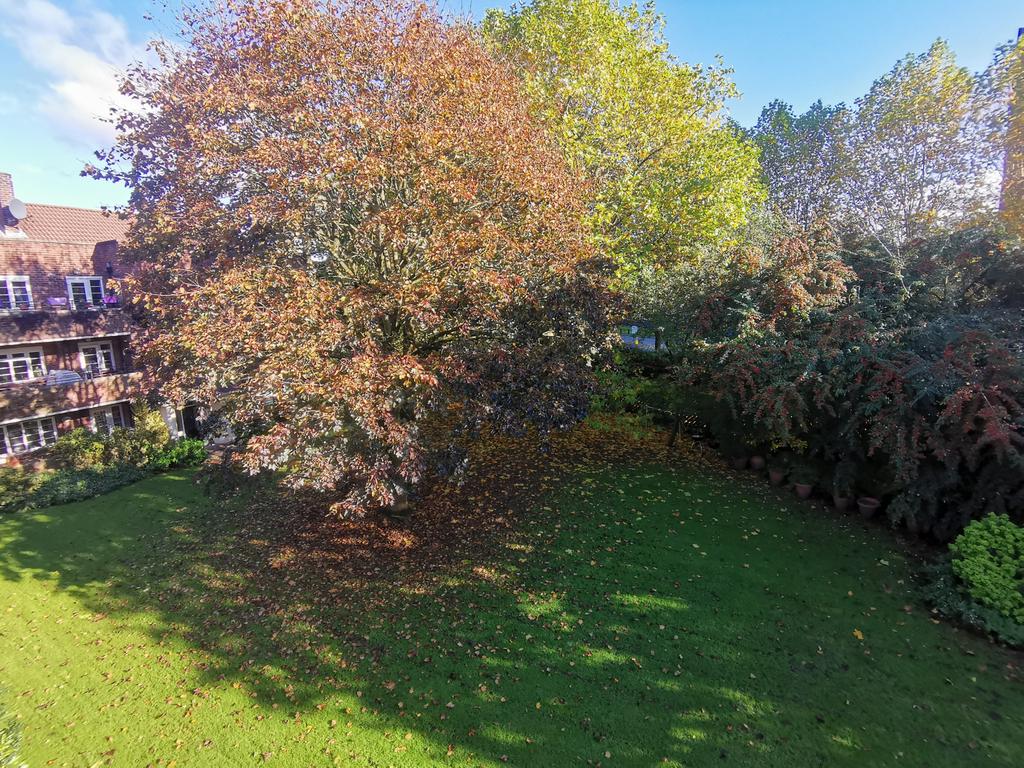 Communal Gardens