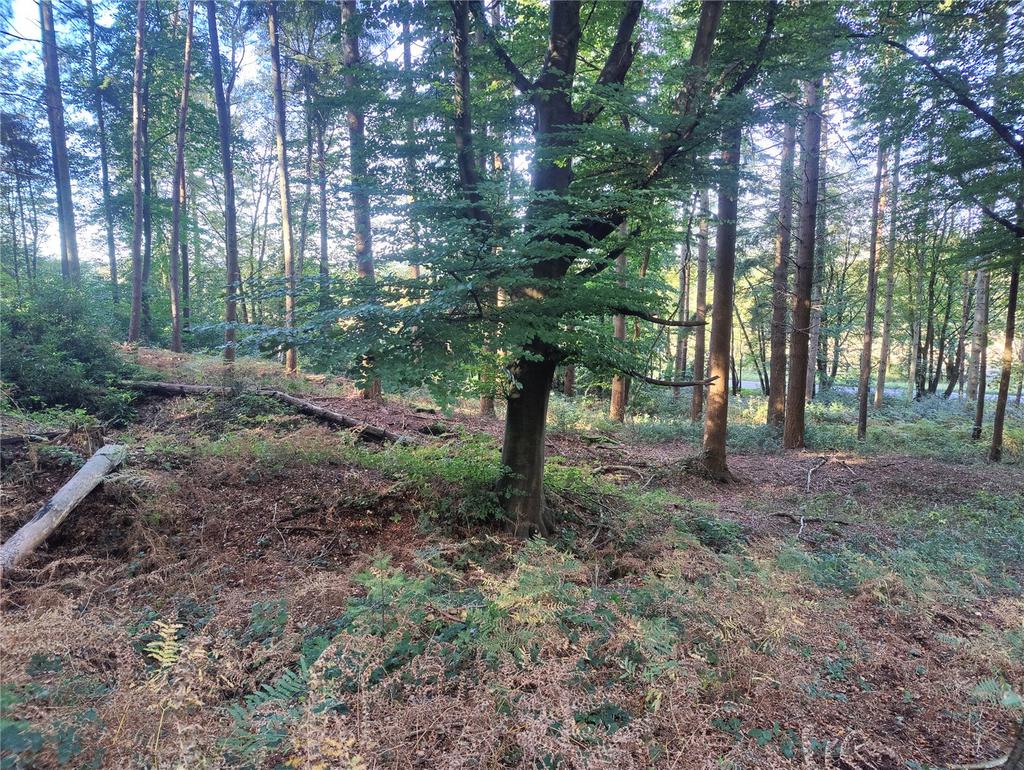 Woolbeding, Midhurst Land for sale £110,000