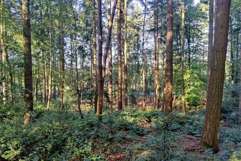 Land for sale, Woolbeding, Midhurst