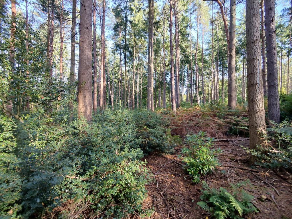 Picture 10