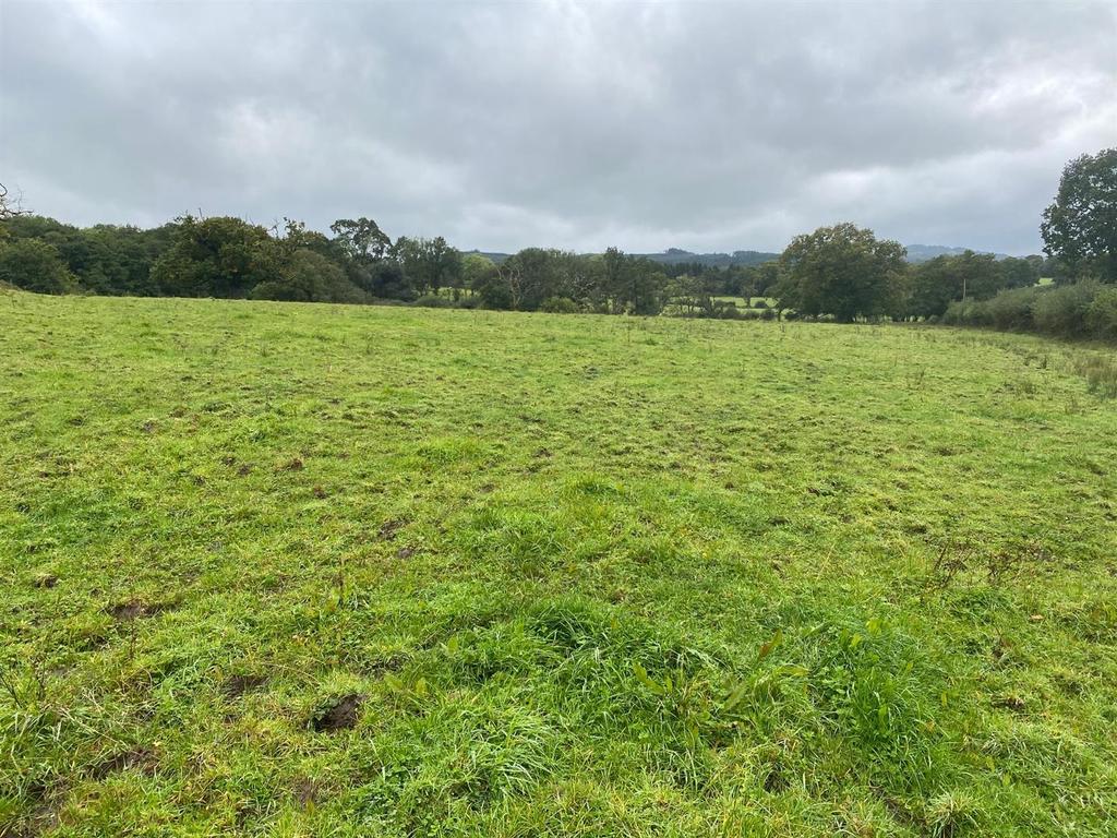 Golden Grove, Nr Llandeilo Farm land for sale £196,000