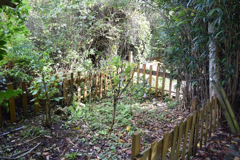 Fruit Garden