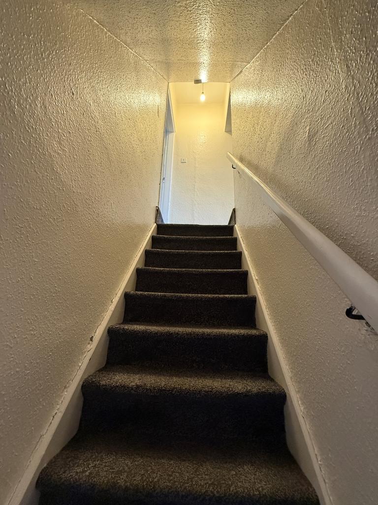 Img 3777